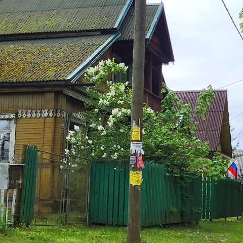 МегаМакс в LOOKY. . Невероятно красивые ...