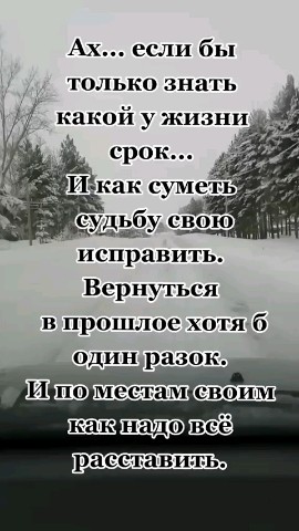 ВОЛК СЕРЫЙ в LOOKY — публикация