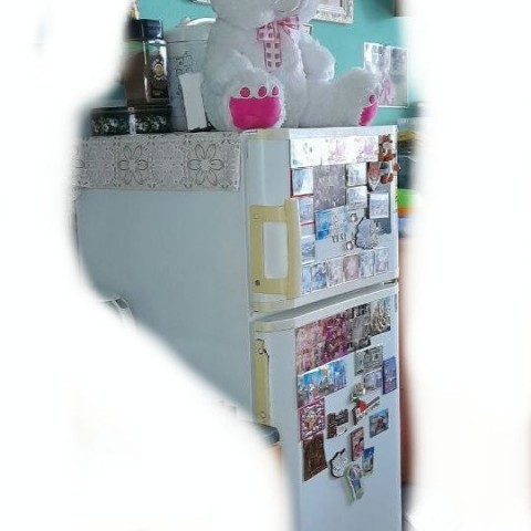 knopa.olga2 в LOOKY. . [#мойхолодильник](мо...