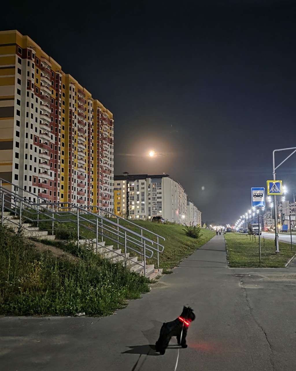  в LOOKY — публикация