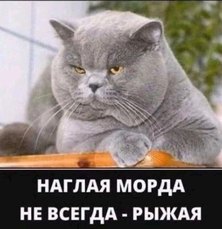 Tatiana Ubushaeva в LOOKY — публикация