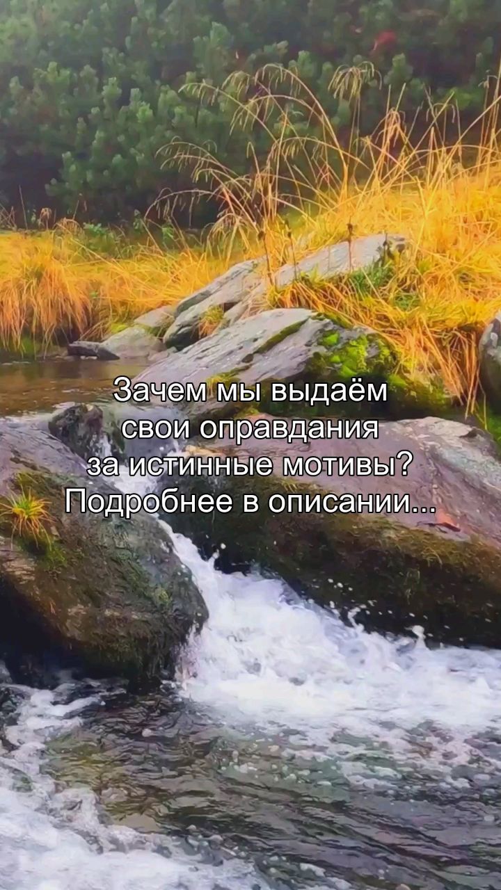 inna_areels в LOOKY. #психология,#любовь,#личность,#саморазвитие,#отношения. Почему ты упорно и а...