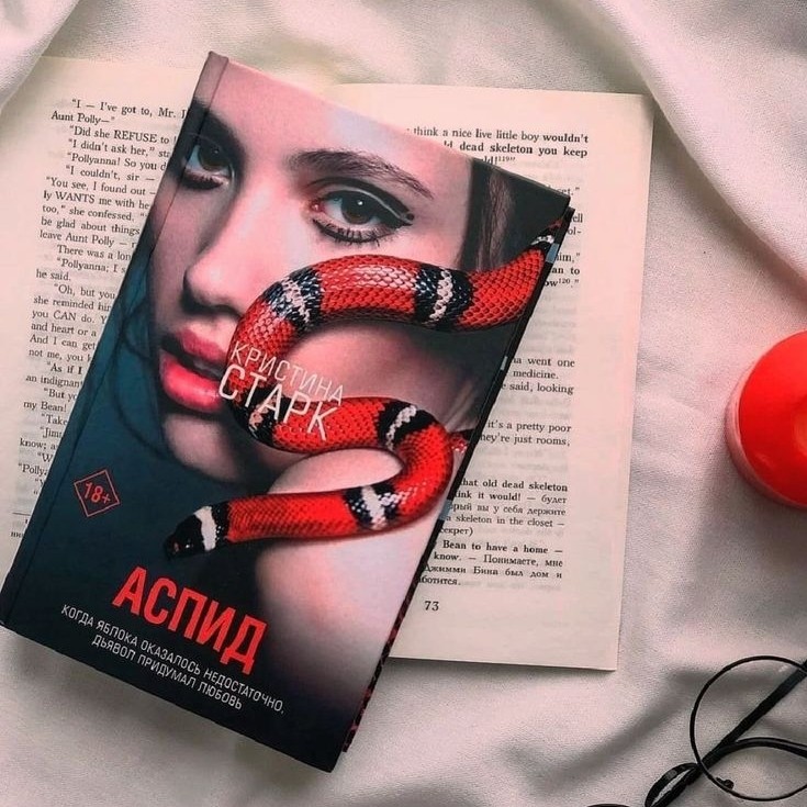 Дорогие мои, я снова не спала пока не дочитала Аспид! Вот знала же что так будет с книгой Кристины Старк, от ее книг просто невозможно оторваться. А в ней наминуточку 480 страниц. Время 5.40 утра, а я все в слезах и сильных эмоциях пишу вам отзыв. 
И так по сюжету у нас есть две семьи очень влиятельные и богатые,которые воюют друг с другом очень и очень долгое время. При чем одна из семей религиозная. Вторая же семья наоборот живёт в грехе. Постоянно между ними происходят стычки и убийства. Более подробно вы можете прочитать в аннотации.
Думала что все же будет немного другая пара. Но все таки именно с ним она почувствовала себя защищённой, любимой и желанной. Перестала бояться. Но после его поступка ее сердце разбилось в дребезги. Но в финале она готова была отдать за него самое дорогое, только что бы он был жив. И это настолько было эмоционально напряжённо что думаю у меня прибавилось седых волос. 
Финал был достаточно сильным, слезы невозможно было остановить, особенно в тот момент когда Кристи увидела в каком состоянии был ее любимый, пока она рисовала в голове абсолютно другие картинки с его участием. Ну и как подобает настоящим героям, зло повержено, а настоящая любовь победила. 
Я не буду раскрывать главную интригу, но хочу сказать что семьи все же стали ближе друг к другу. 
Всю книгу мне было очень жаль главную героиню, с детства жить в такой семье, а потом и вовсе стать для семьи не чем, это очень страшно. Хорошо что у Кристи нашёлся надёжный человек рядом, что она не переставала верить, в то что семьи можно помирить и до конца шла к этому. 
Для меня любая книга Кристины Старк сразу становится любимой. Я прочитала почти все ее книги. Остались только Гончие Лилит и Крылья. Мне нравиться как она пишет, ее слог и прописанные персонажи. Я советую к прочтению, но если вы не любите жестокость, то лучше отложить. Потому что в книге ее достаточно много.
#Кристина_Старк #Аспид #отзыв #книга2025 #лучшаякнига [#планы ](планы)