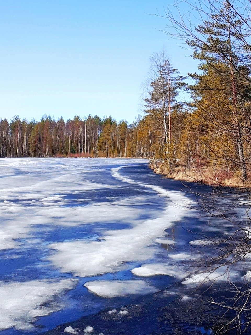 Виктор в LOOKY — фото 2