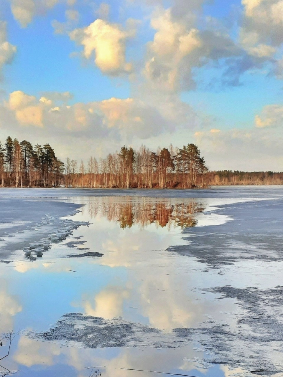 Виктор в LOOKY — фото 1