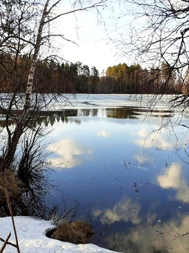 Виктор в LOOKY — фото 3