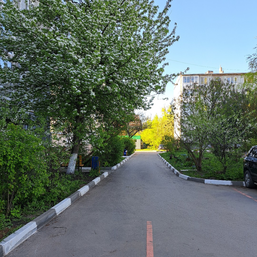 #весна
Ранним утром чувствуешь прям какой-то восторг.... у меня это ощущение всегда связано с весной и летом.