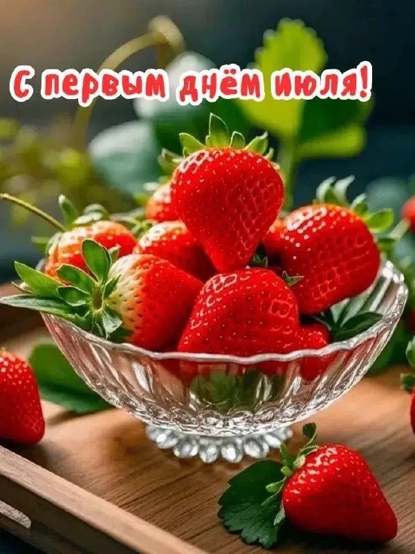 Сириус в LOOKY — публикация