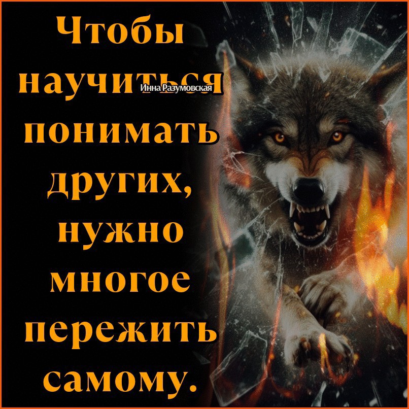 Looky_1695643157649 в LOOKY — публикация