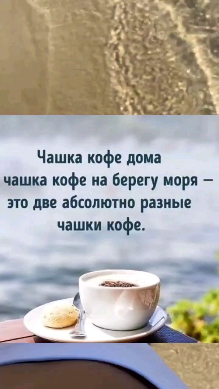 Svet_ya_ в LOOKY — ☀️🌊Доброе утро!☕️🤎

Пусть этот день начнётся с мягкого све