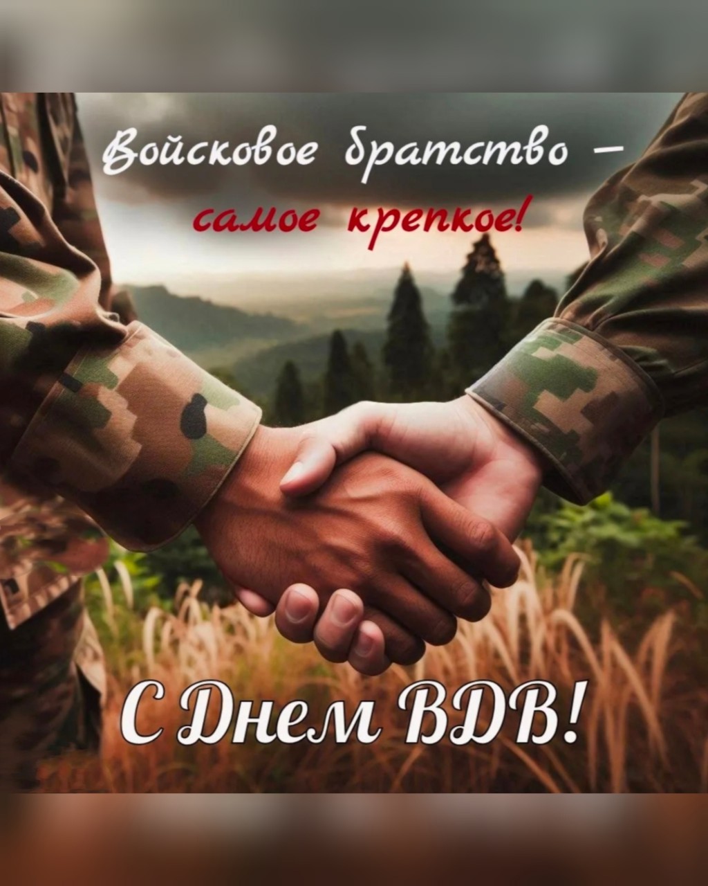 #деньвдв