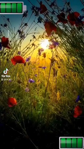 andreshi2024 в LOOKY. . 