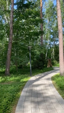 Looky_1670417778789 в LOOKY. . Утреннее!!!