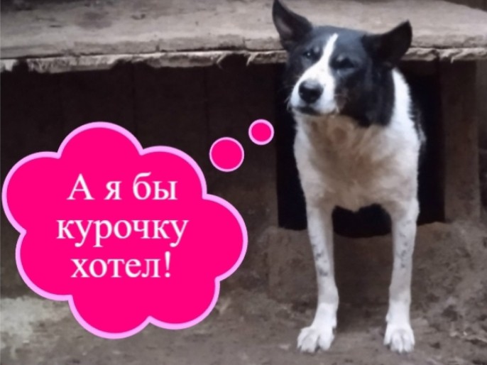 Лена Козлова в LOOKY — фото 2
