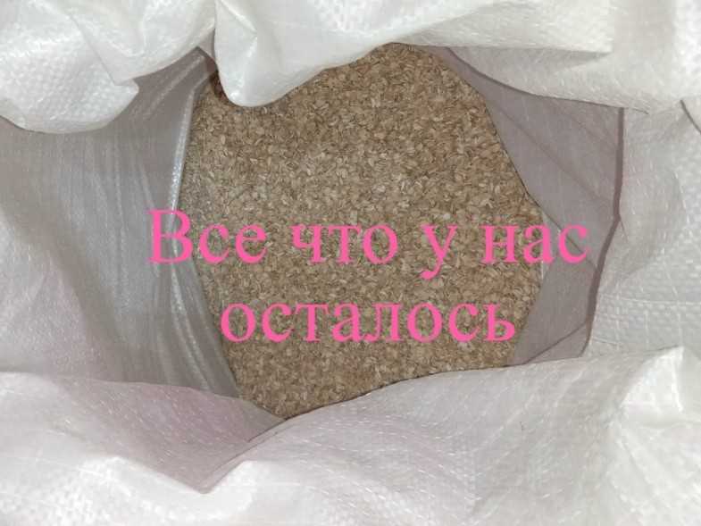 Лена Козлова в LOOKY — фото 9