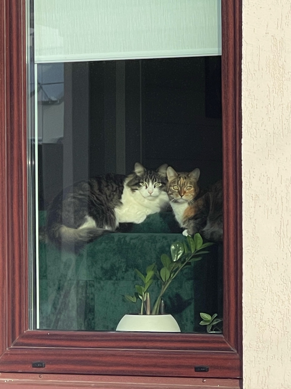 Ждуны💕