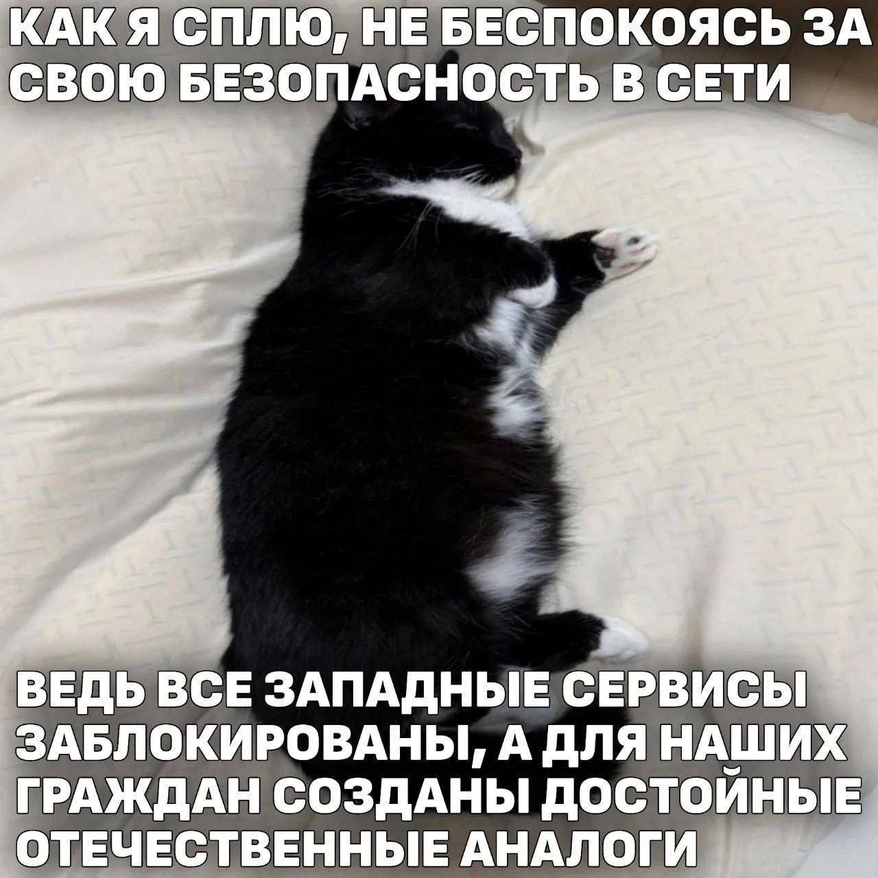 Виталий в LOOKY — Забанить всё, удалить интернет ✅