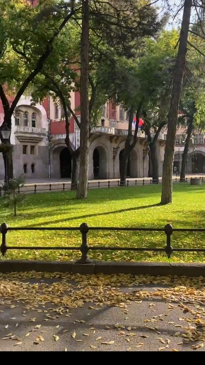 Elena_looky в LOOKY — публикация