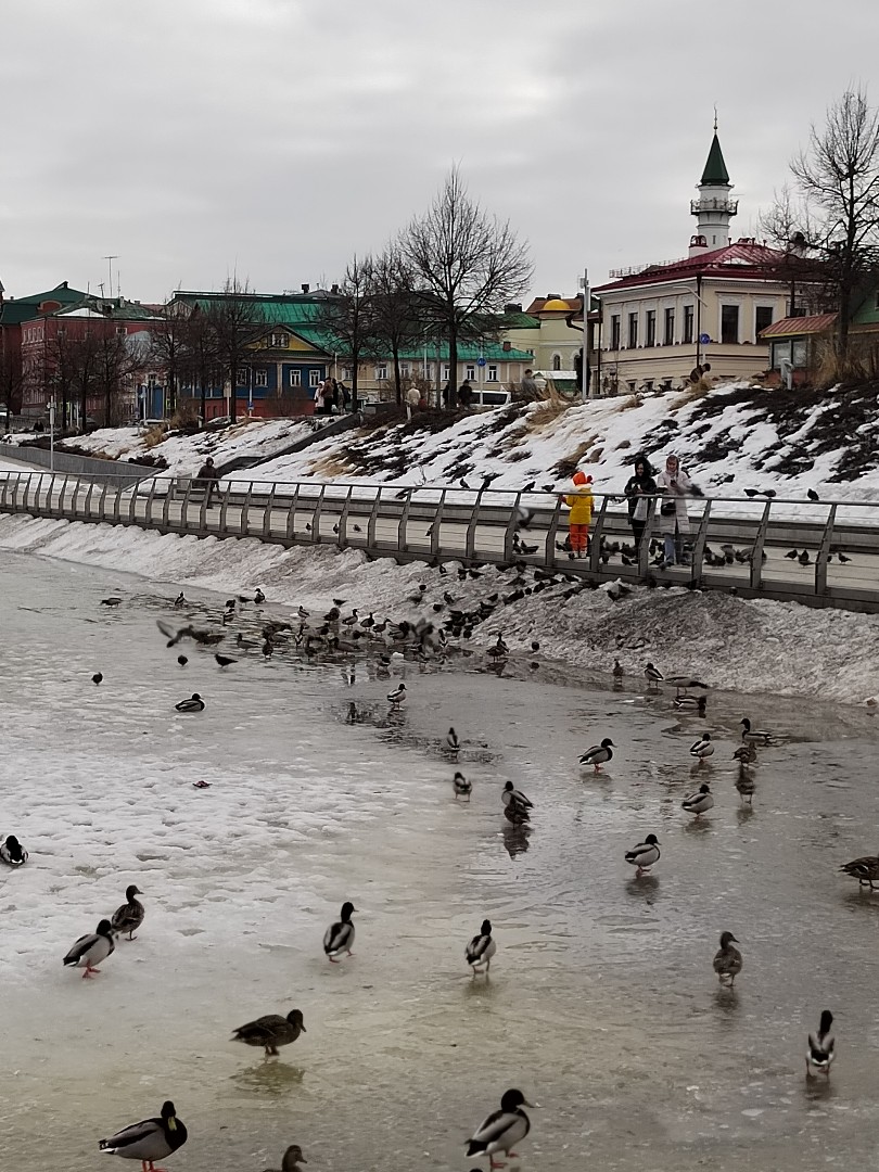 Бүген #Күңел, шулай теләде!🕊️🦆🕊️
23.03.2023