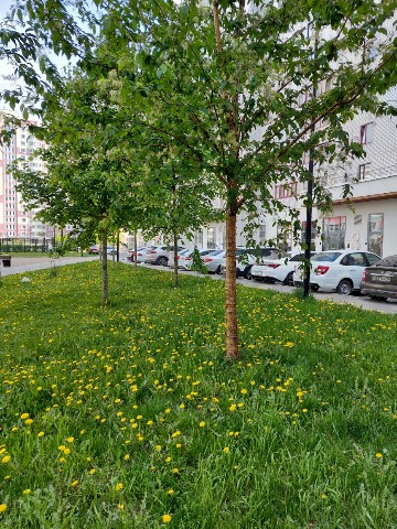 aphimaxgram в LOOKY. #природа#пейзаж#фото#весна#2025#дома#город#архитектура. #природа#пейзаж#фото...