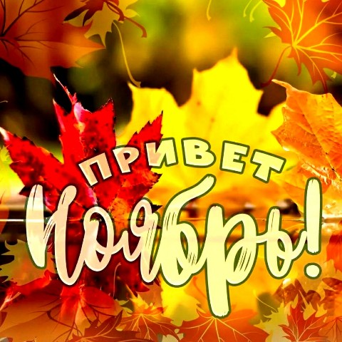 yuliatikhonova87 в LOOKY. . Доброе утро!
