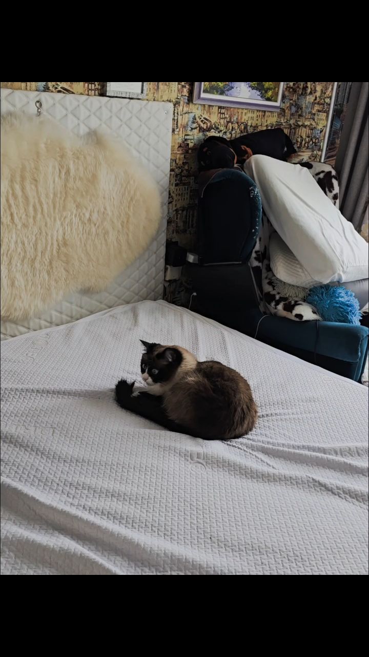 Vladim01Q в LOOKY — публикация