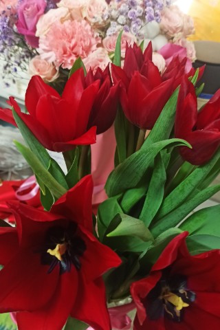 s_sobakoy_na_more в LOOKY. #14февраля. #14февраля
Любить на...