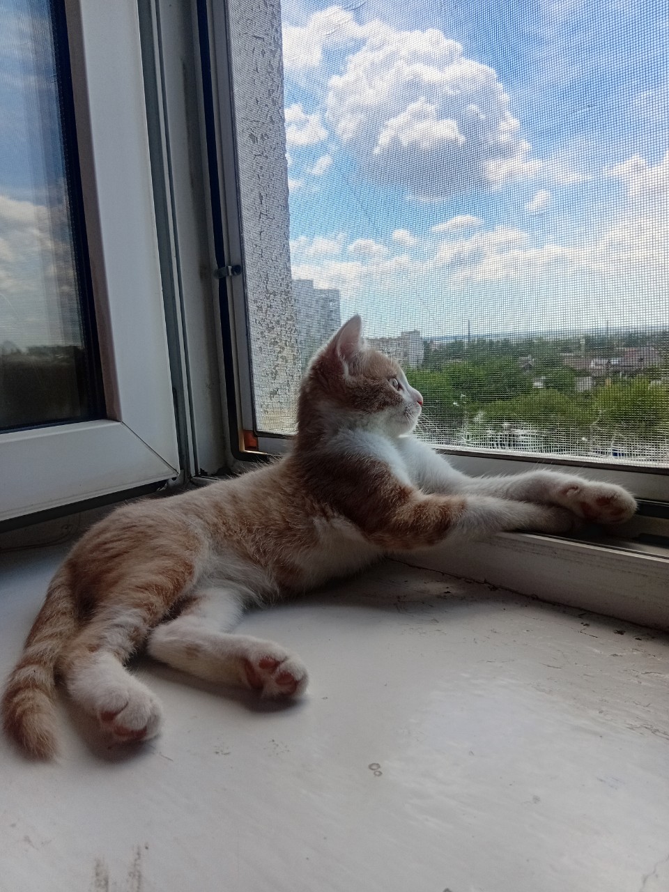  в LOOKY — публикация