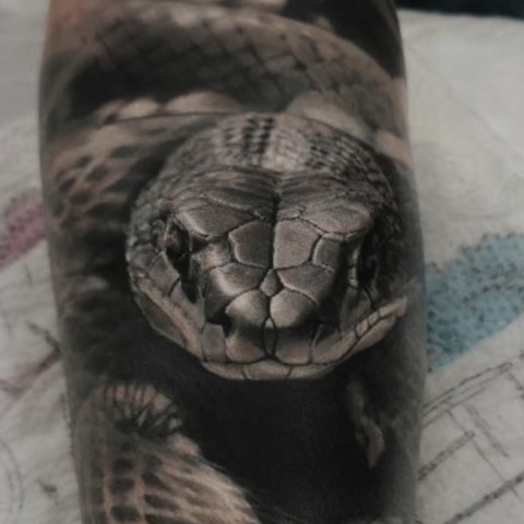 im.tattooist в LOOKY. #snake. #snake