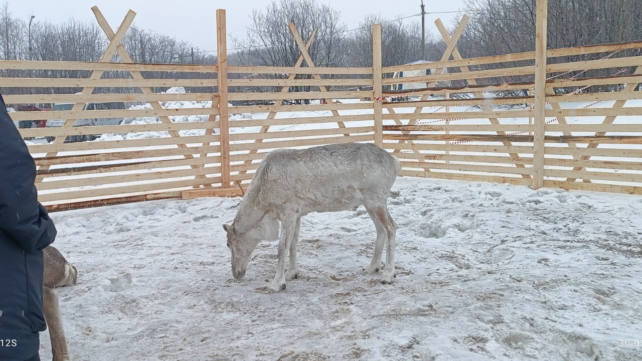 olyushka07