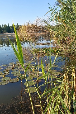 Looky_1720800100825 в LOOKY. . На рыбалке 🐠🐋🐟......