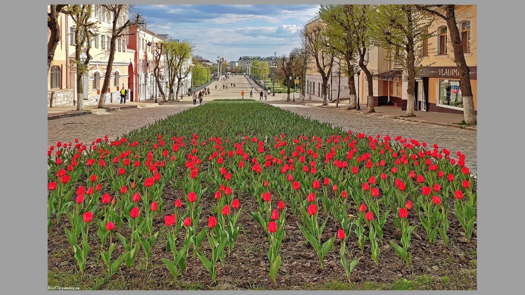f57alex в LOOKY — #Орел #57
