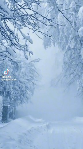 Галина Аллерт in LOOKY. . 