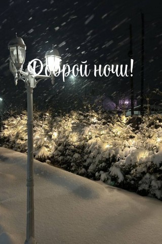 Looky_1670341578322 в LOOKY. . 
