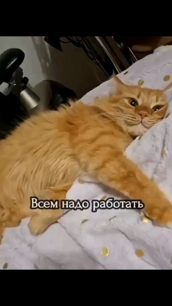 Ирина блонд в LOOKY — публикация