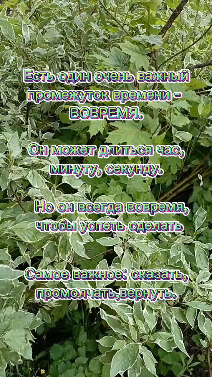 Ольга в LOOKY. #цитаты. #цитаты