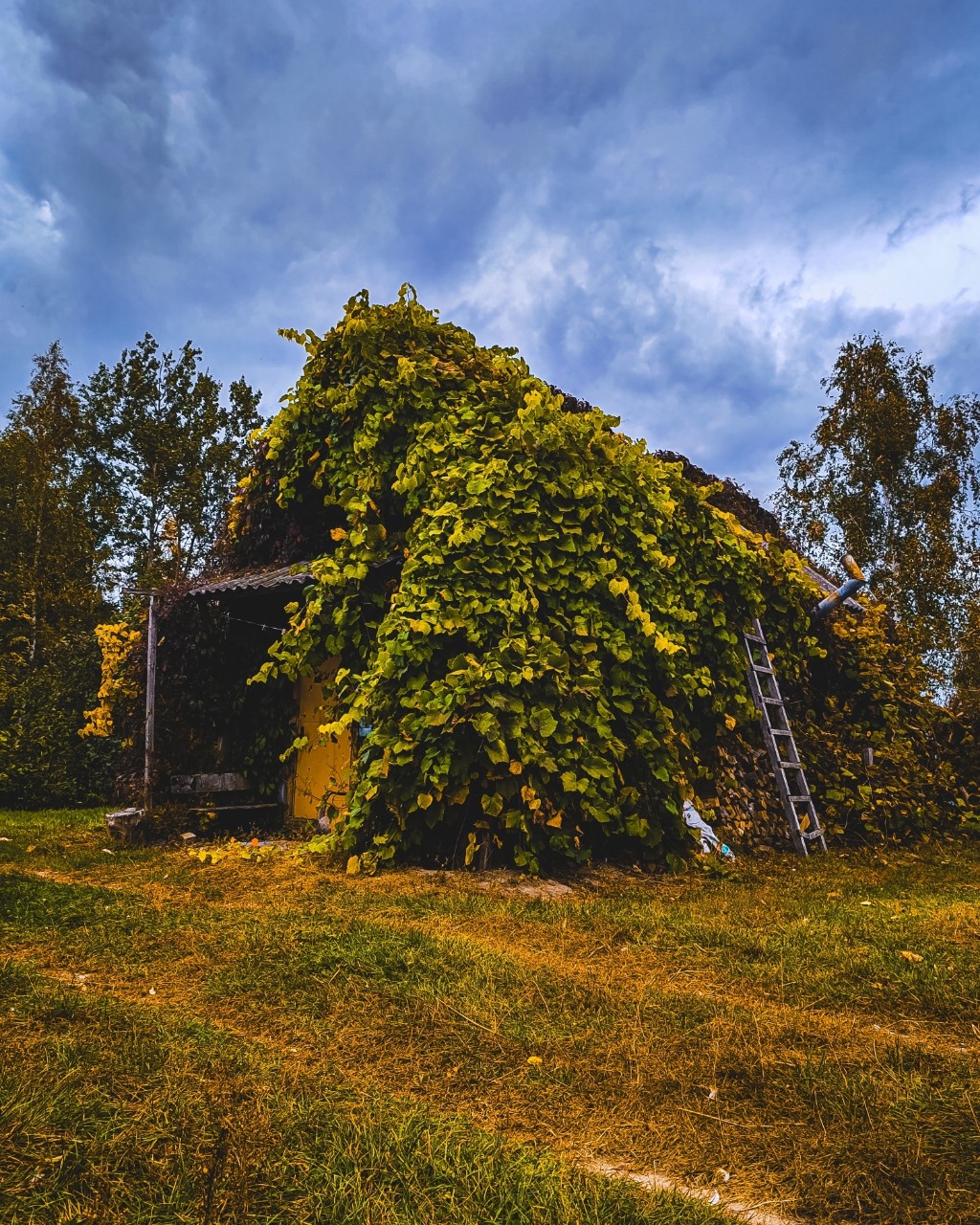 Mihnovets в LOOKY — #фото #photo [#photography](photography) #photoonphone [#aut