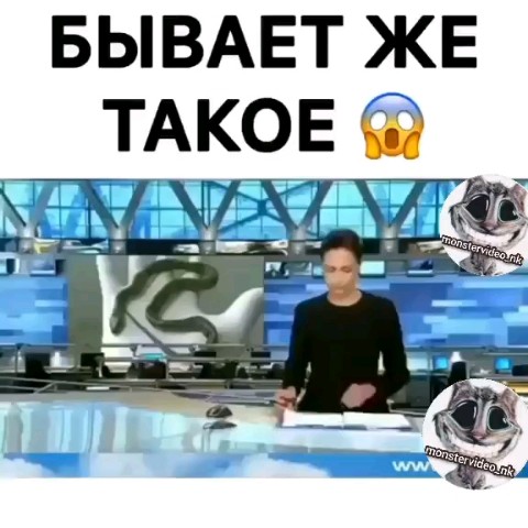 Il_faT в LOOKY. . [#интересныйфакт](ин...