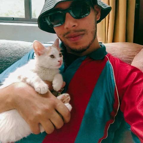 dh.aboubakr в LOOKY. . with my little cat