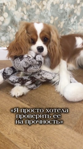 Светлана в LOOKY. . «Операция прошла усп...