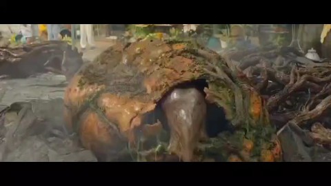 rkrajkumar516 в LOOKY. #bestfilm,#series,#movieedit,#replik,#cinemax,#comedy,#oan,#bestfilmever,#bestperformance,#instamovies,#cmovies,#goodmovie,#bestdirector,#filmscene,#movieedits,#moviestarplanet,#movieproducer,#actor,#moviecritic,#actors,#drama,#movietrailers,#movierecommendation,#bestmovie,#smovie,#actionmovies,#d,#moviepodcast,#music,#scenes#movieclip,#movie,#movieclips,#moviescene,#cinema,#movies,#film,#moviescenes,#movienight,#cinephile,#movielover,#moviebuff,#s,#bestscene,#filmclip,#filmclips,#movietime,#moviequotes,#actress,#hollywood,#films,#movieworld,#movieaddict,#moviedate,#movieday,#movielovers,#cinematography,#sinema,#cine,#bestactor. God movie Hollywood ...