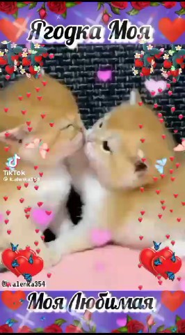 Наталья in LOOKY. . 