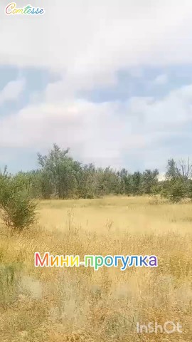 LComtesse в LOOKY. #мойволгоградмойгород#прогулкипогороду#лучшийгородземли_Волгоград#город-герой_Волгоград#городнаВолге. #мойволгоградмойгоро...