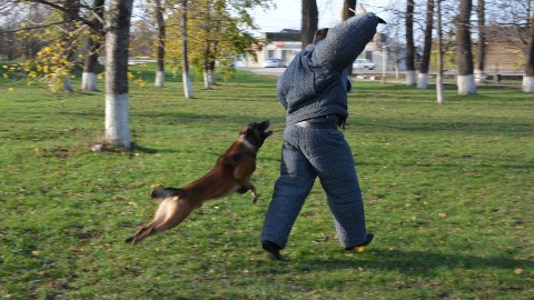 Looky_1718348665789 в LOOKY. . Полет над гнездом ку...