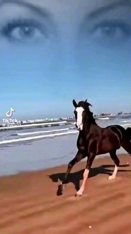 Владимир in LOOKY. . 