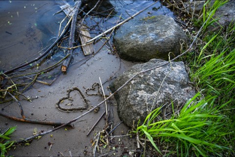 strx в LOOKY. #майские,#природа,#Тверь. #майские #природа #Т...