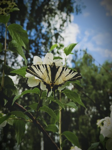 jeanny__a в LOOKY. . 