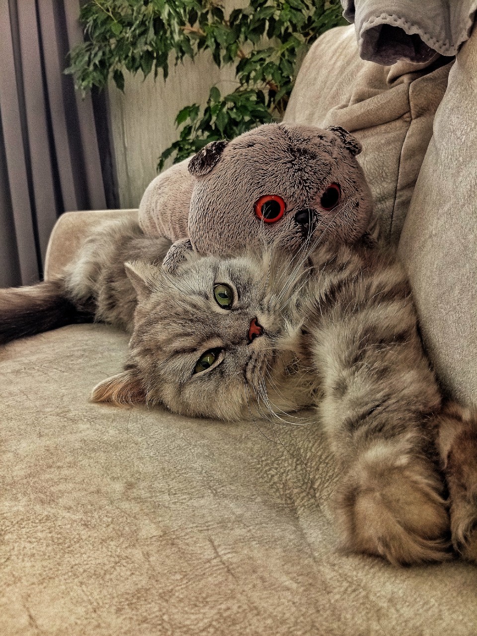 darenka_little в LOOKY. . Два брата - акробата...