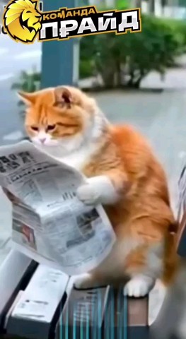 biznesmanimeiking в LOOKY. . 