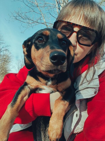 petrovyfamily21 в LOOKY. . 🐶🫶